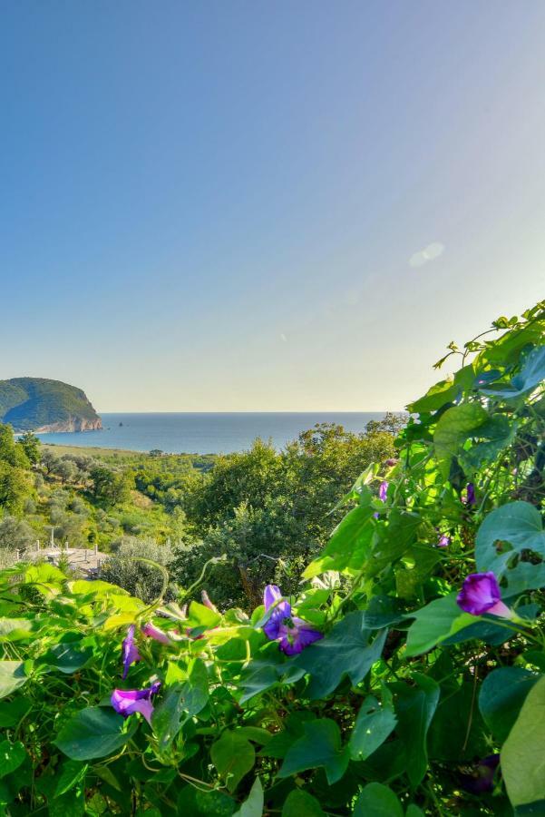 Apartment Pataki Petrovac