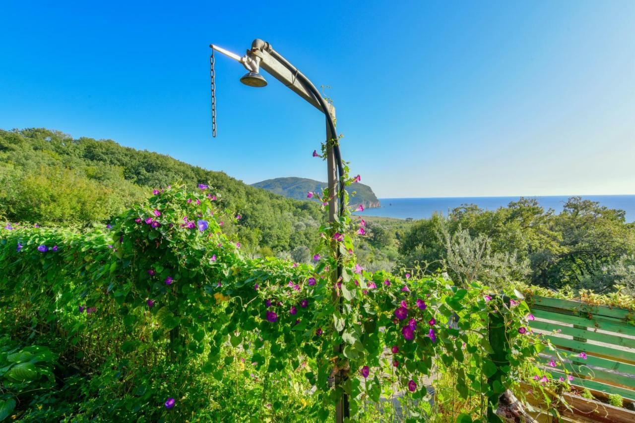 Pataki * Petrovac